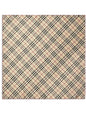 Burberry Scarfs