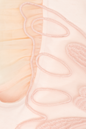 Dress with butterfly motif
